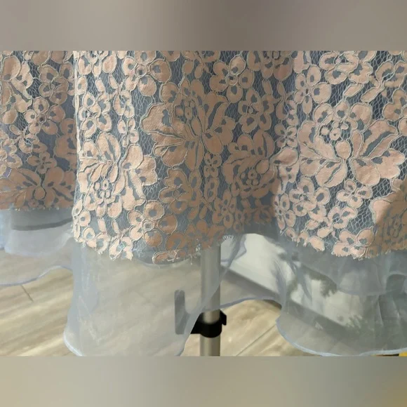 Elegant Floral Lace Dress with Sheer Hem and Flower Appliqué Details - Picture 5 of 6